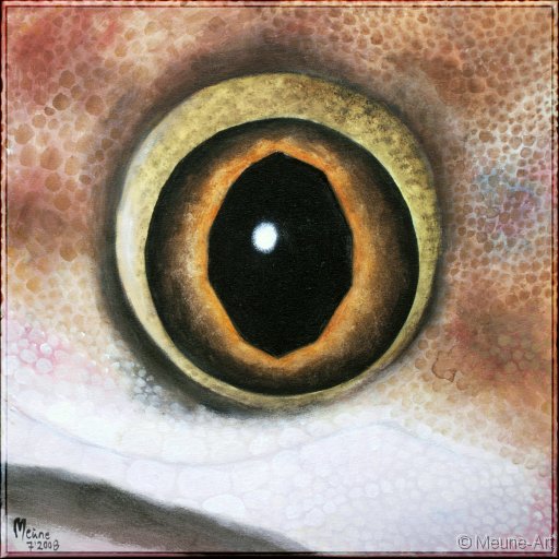 Augenblick eines Hausgeckos Acryl auf Leinwand;
30 x 30 cm